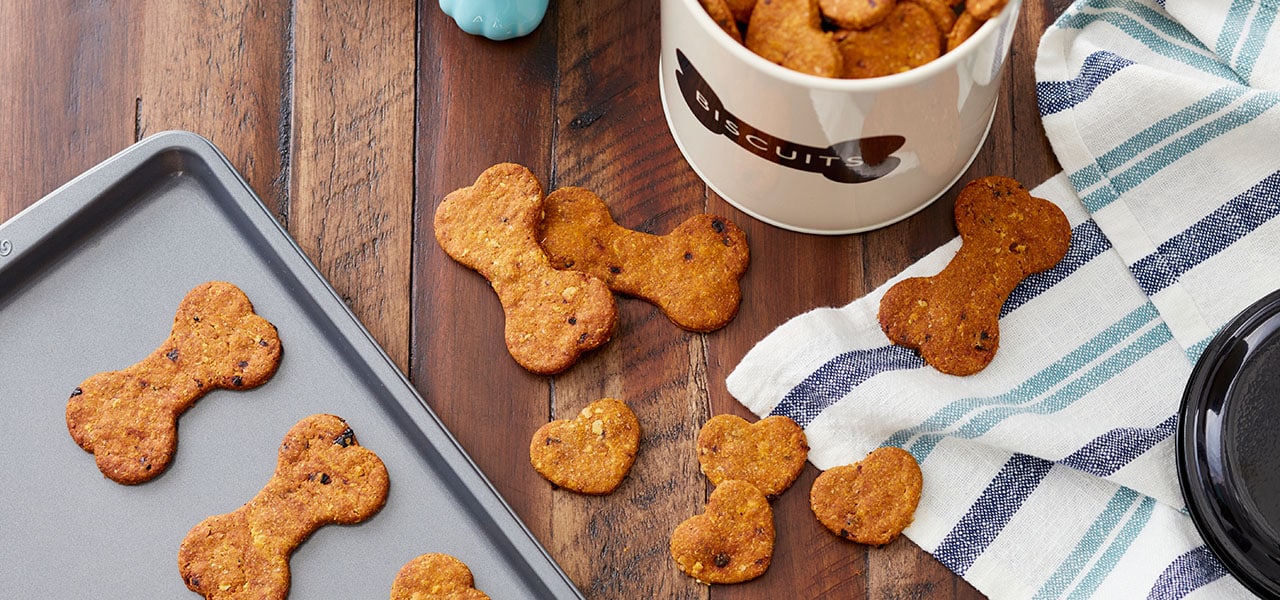 Homemade Peanut Butter Dog Treat Recipe
