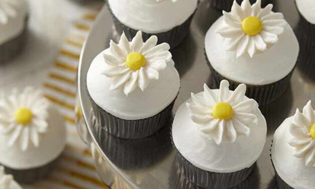 How to Pipe Buttercream Daisies and Buttercream Carnations