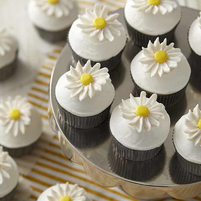 how to pipe a buttercream daisy and carnation