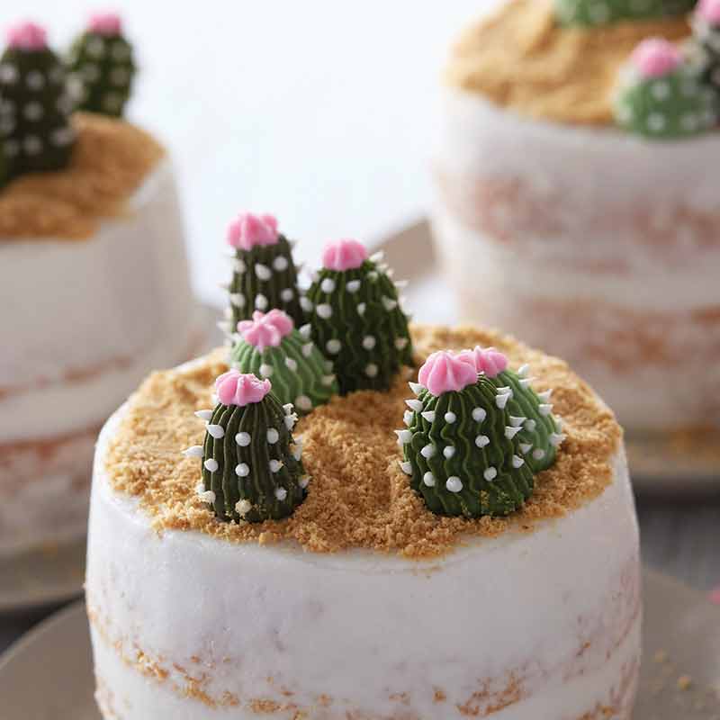 Mini-Succulent-Cakes white buttercream cake decorated with coral and blue drop flowers using a drop flower decorating tip